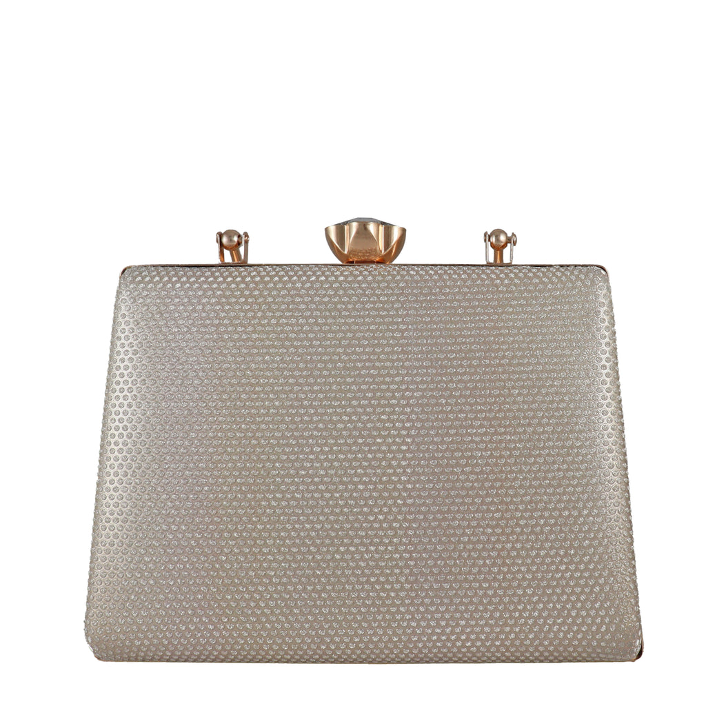 Elegant Hard Case Evening Bag with Chain Strap