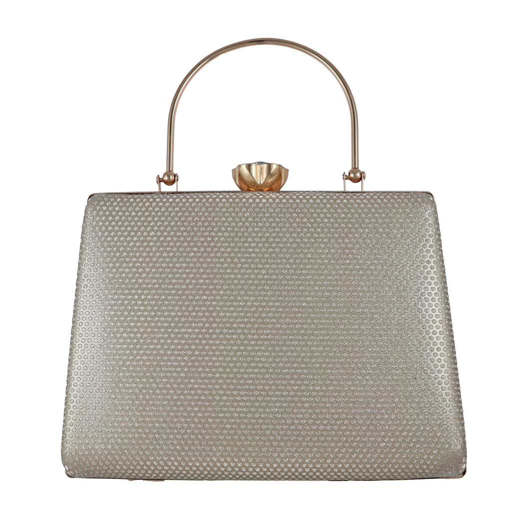 Elegant Hard Case Evening Bag with Chain Strap