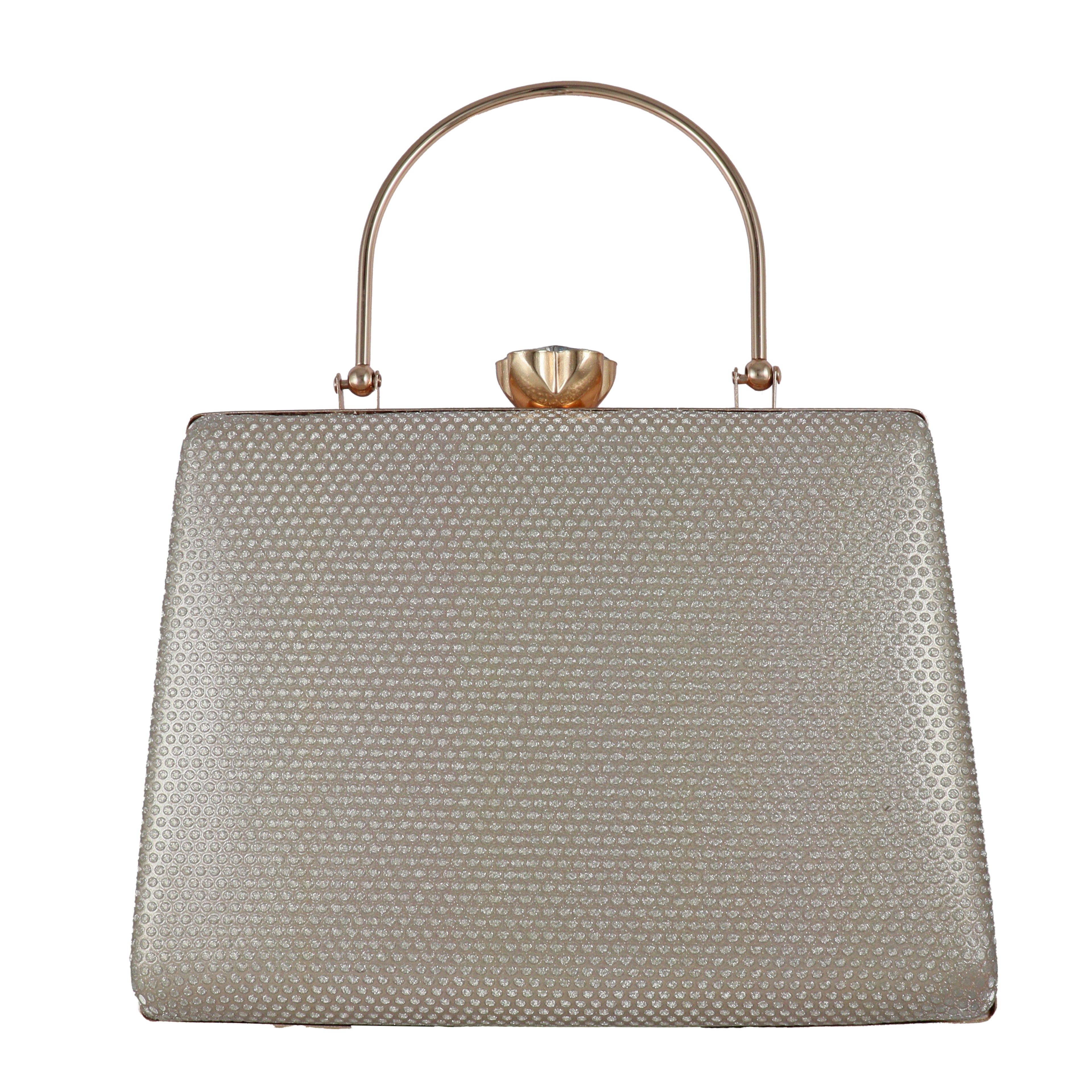 Elegant Hard Case Evening Bag with Chain Strap