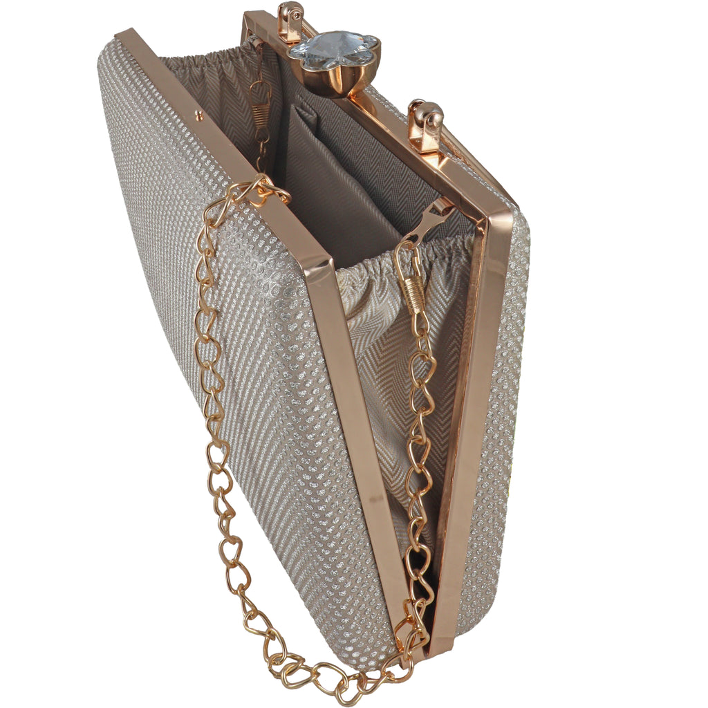 Elegant Hard Case Evening Bag with Chain Strap
